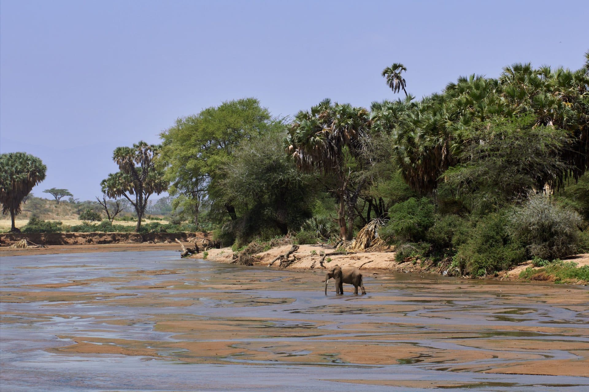 Südafrika (Krüger-Park), Südafrika