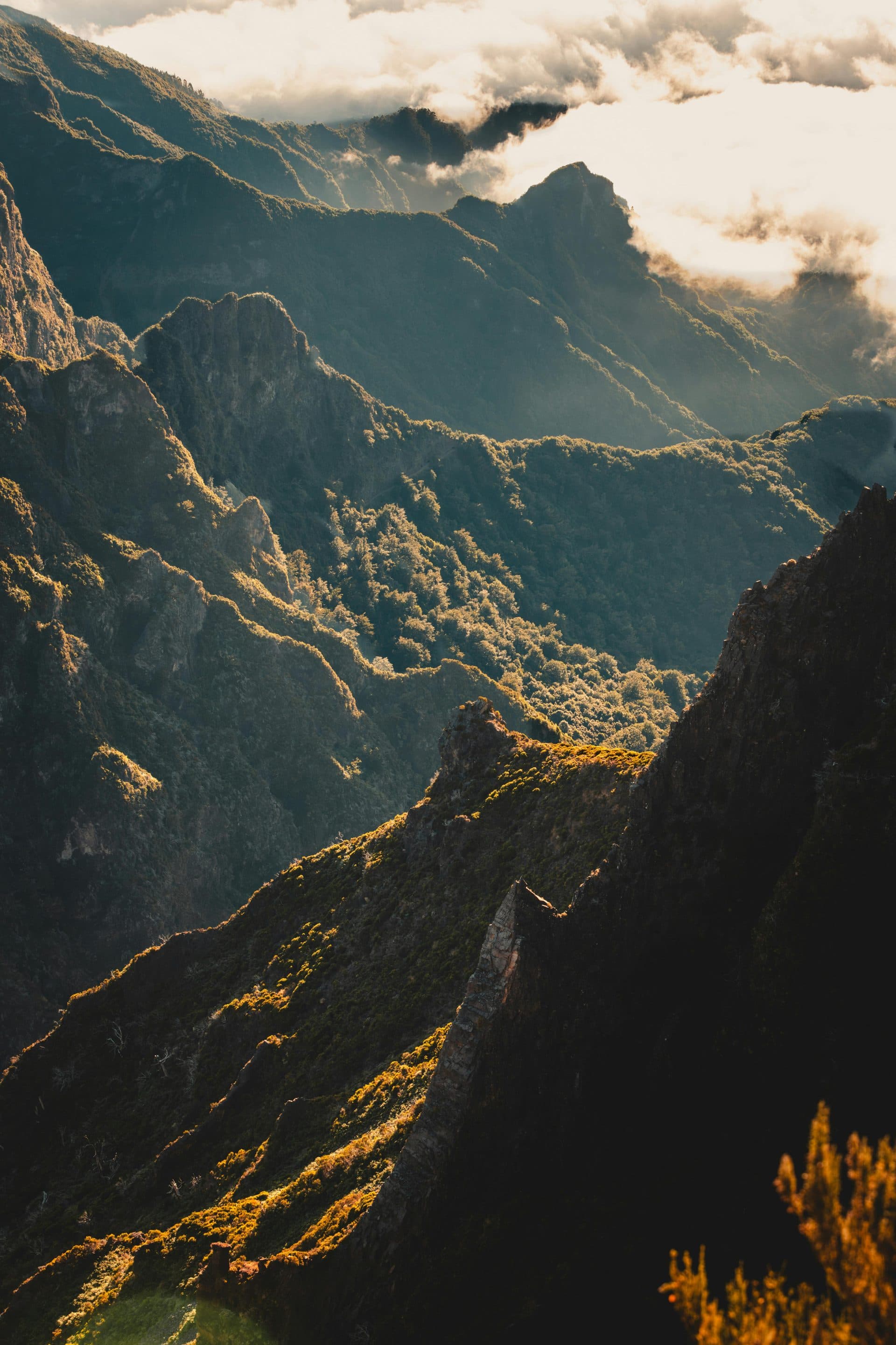 Madeira
