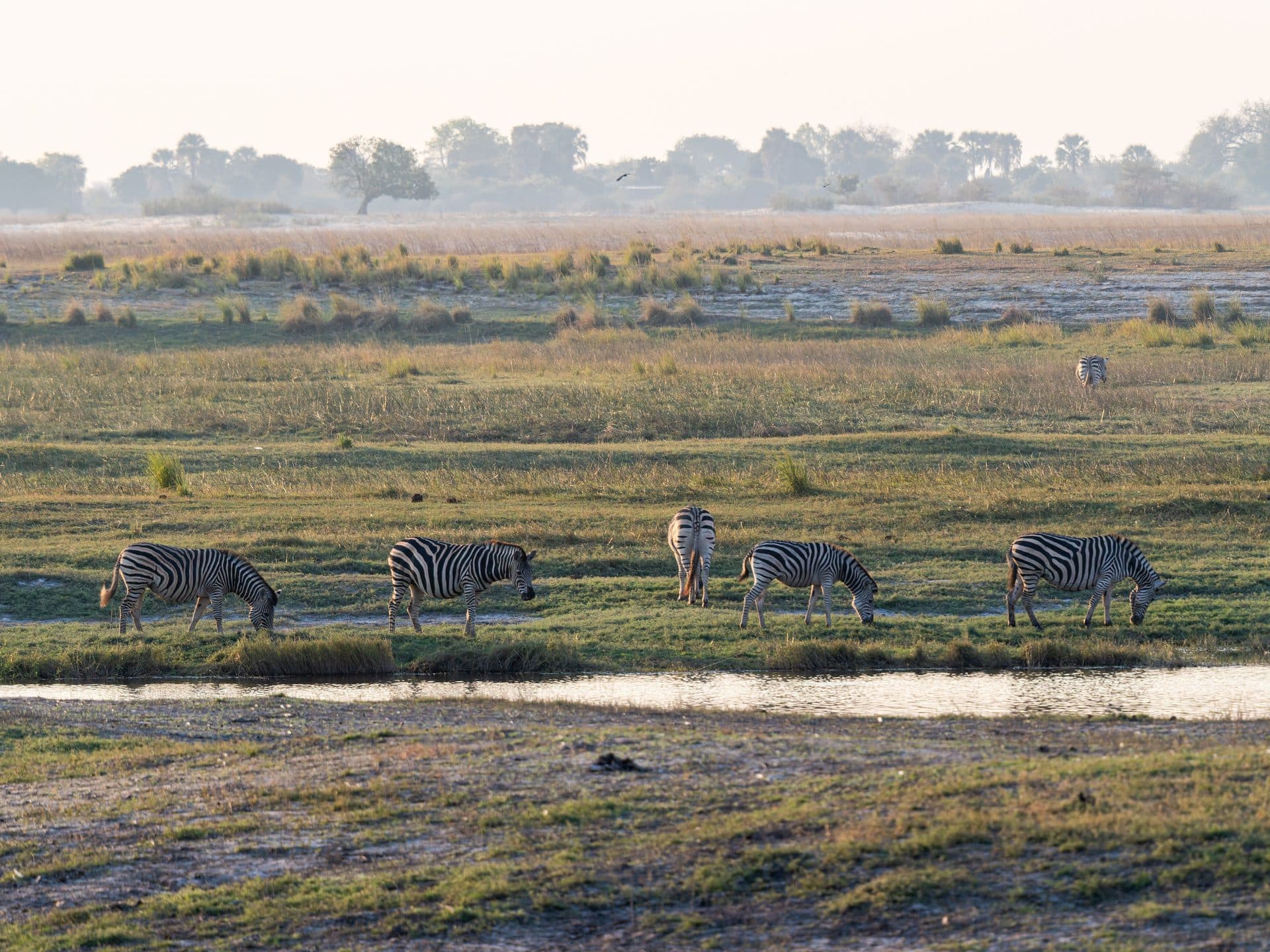 Botswana (Okavango-Delta), Botswana
