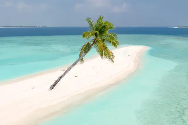 Bahamas