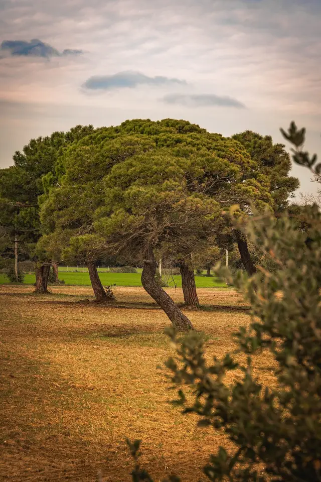 Türkei (Belek)