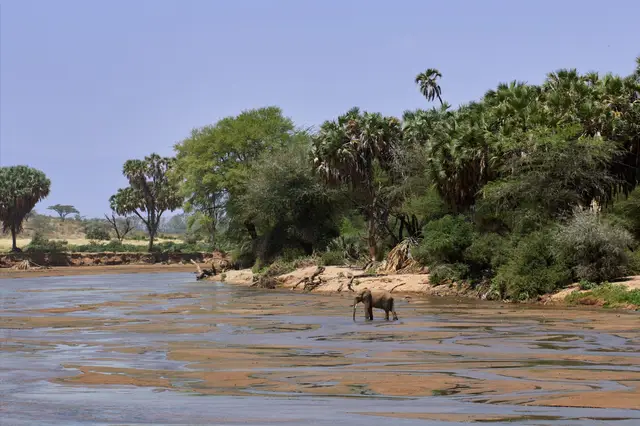 Südafrika (Krüger-Park)
