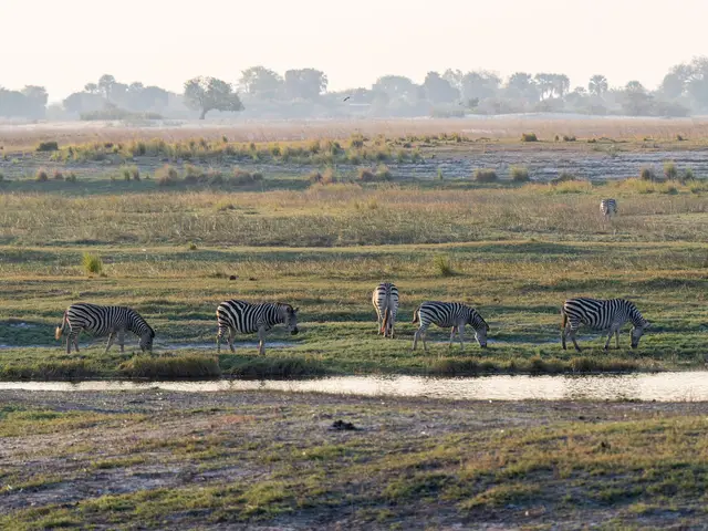 Botswana (Okavango-Delta)