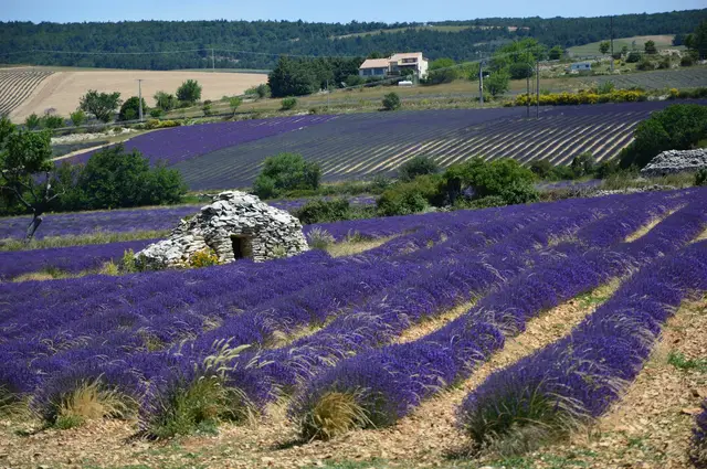 Provence